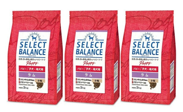 セレクトバランス パピー ラム 小粒 子犬母犬用 3kg 3個セット