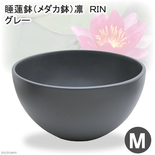 睡蓮鉢　睡蓮鉢（メダカ鉢）　凛　ＲＩＮ　丸型　ダークグレー　Ｍ　睡蓮鉢・金魚鉢・メダカ鉢　ＣＲＣ90―06―25―00―00