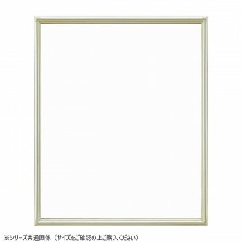 大額　デッサン額　7517　半切　シルバー