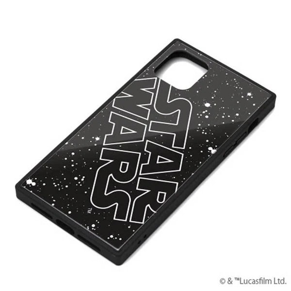 PG-DGT19C30SW [���S]