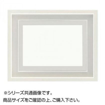 大額 9976 油額 F10 ホワイト