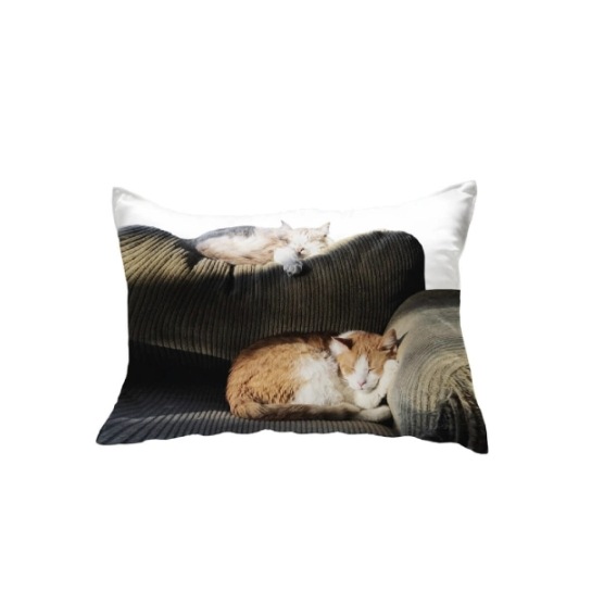 [正規品] SOFA CAT PILLOW COVER バゲットカバー