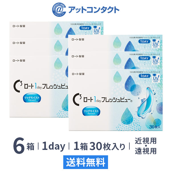 ロート ワンデーフレッシュビュー リッチモイスト 30枚 6箱