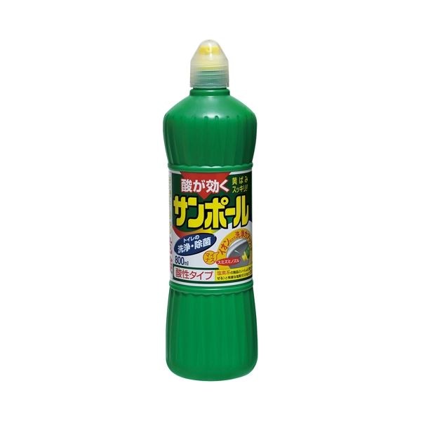 （まとめ） 大日本除蟲菊 サンポール 800ml(×10セット)