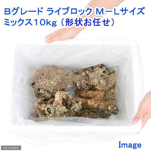 （海水魚）Ｂグレードライブロック　Ｍ－Ｌサイズミックス（１０ｋｇ）（形状お任せ）　北海道・九州航空便要保温　ＣＲＣ26―55―20―40―00