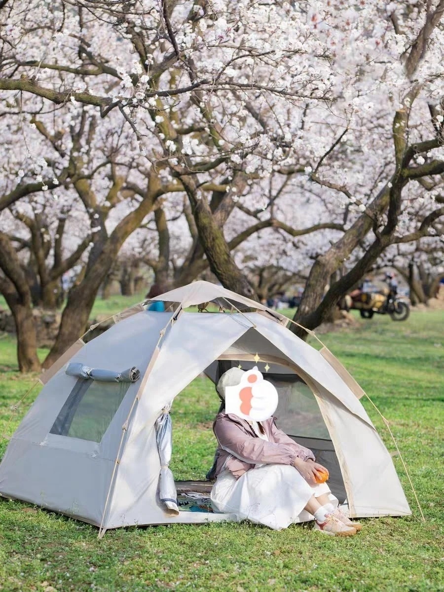 ワンタッチテント テント 3人用 2人用 テント ワンタッチ おしゃれ ドームテント 折りたたみ 簡易テント 軽量 防水 キャンプ アウトドア ベランピング ソロキャンプ 公園