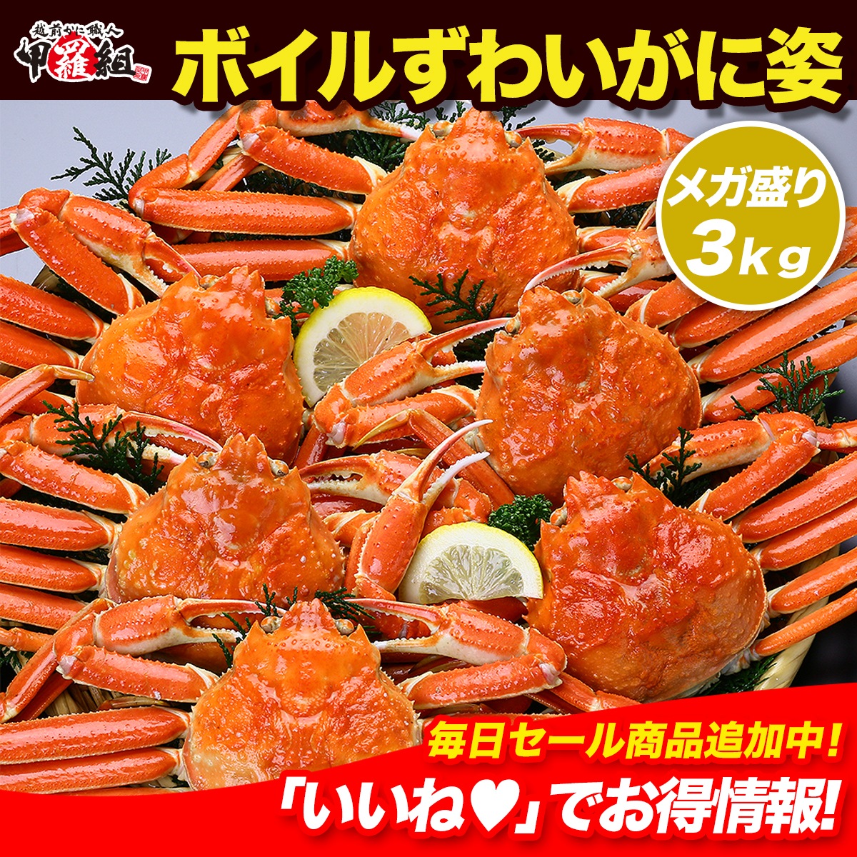 特盛3kg！カニミソたっぷりボイルずわいがに姿3kg（7ハイ）食べ放題　業務用産地箱 カニ かに 蟹 ズワイガニ　　【初心者さんでも安心！さばき方動画あり】