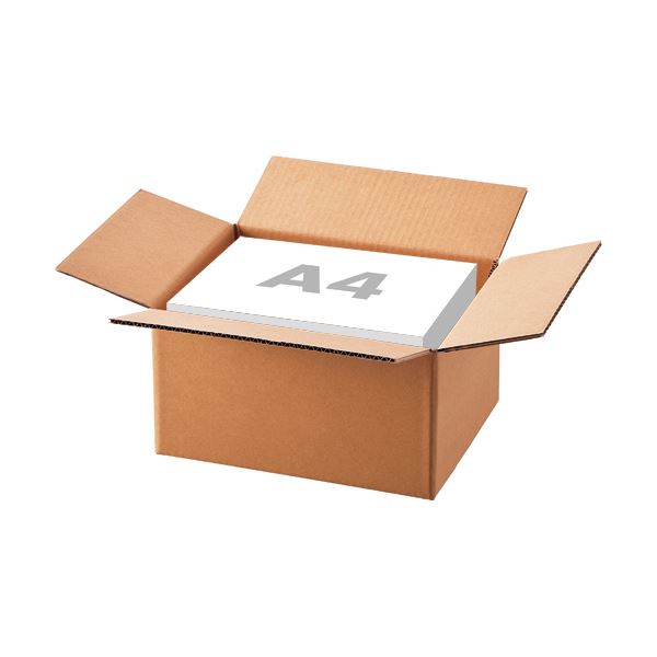 （まとめ）TANOSEE 無地ダンボール箱 A4（SS）サイズ 軽量タイプ 高さ190mm 1パック（10枚） 5セット 8,307円