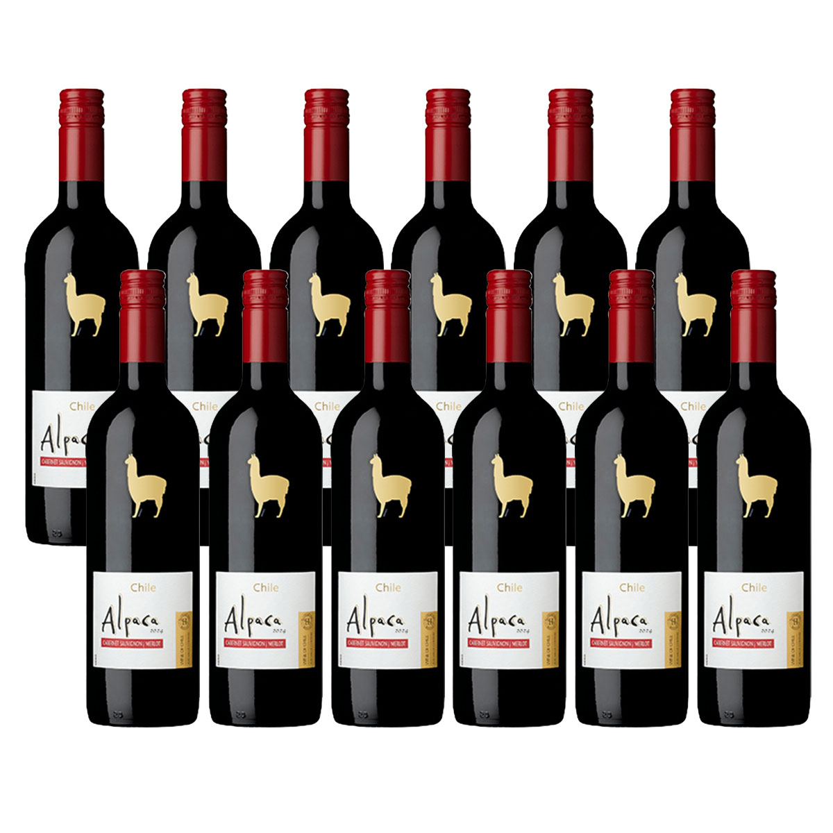 【送料無料】サンタヘレナ アルパカ カベルネメルロー 750ml×12本 【北海道沖縄県東北四国九州地方は必ず送料が掛かります】