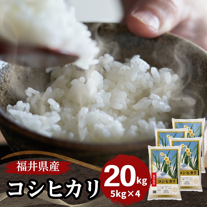【数量限定】福井県産コシヒカリ20kg(5kg4袋) 白米　令和7年産