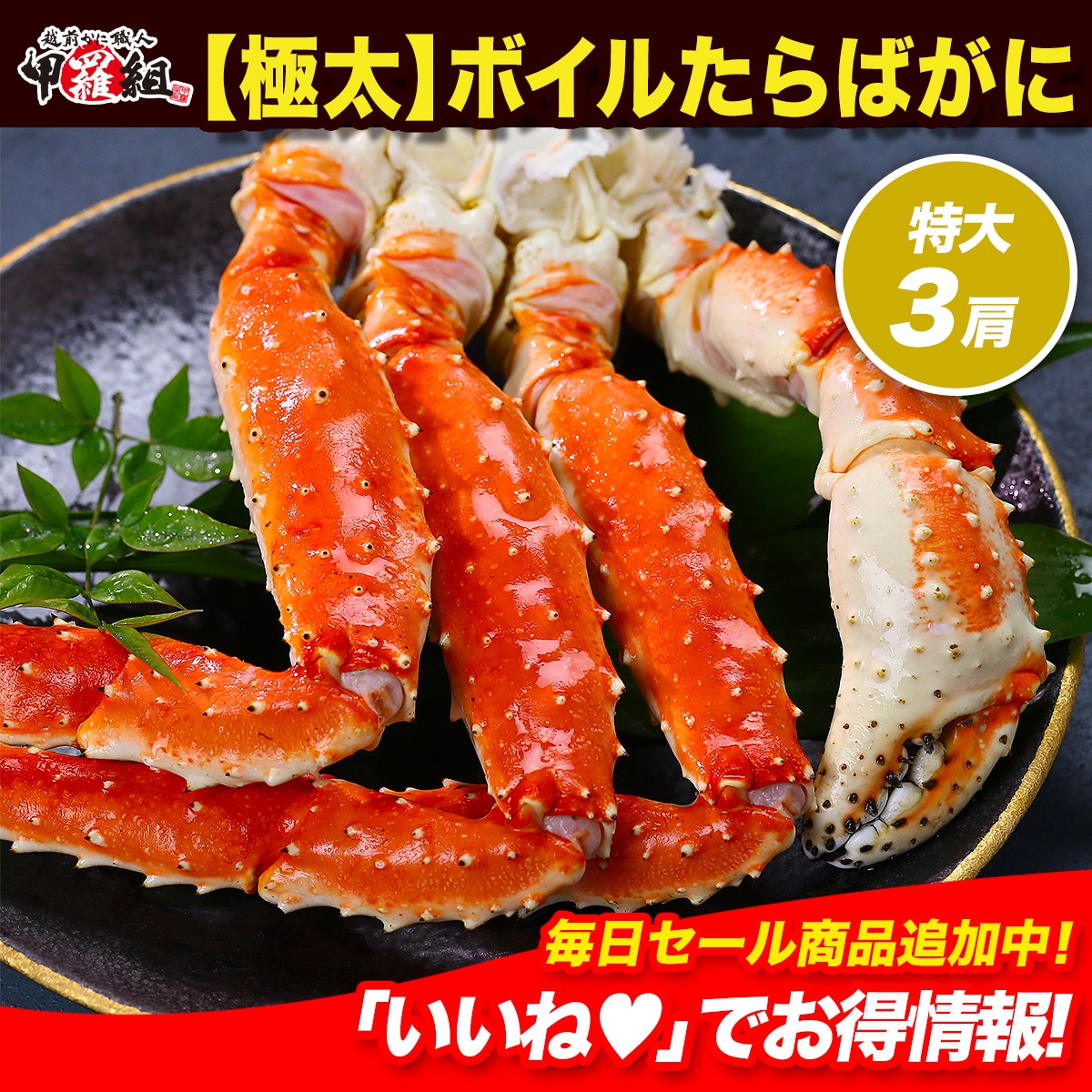 BOTANIZE OLD MOUNTAIN GOUJIN SEN鉢 キャメル ボタナイズ