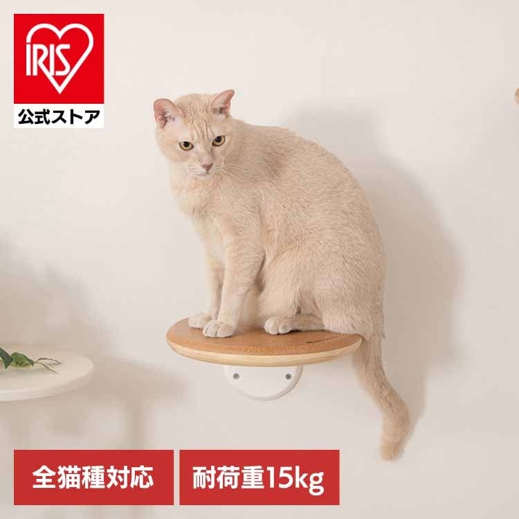 【人気商品】キャットウォーク キャットステップ 猫用品 ペット用品 猫家具 壁掛け シニア猫 ペット共生 猫部屋 短足猫 CORK‐R MZ0027