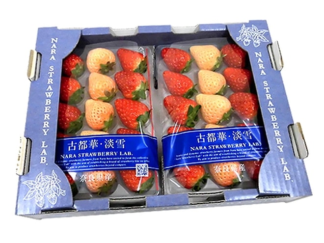 奈良県産 =白いちご 淡雪いちご＋古都華いちご 二色いちご紅白セット= 2pc 予約 1月以降