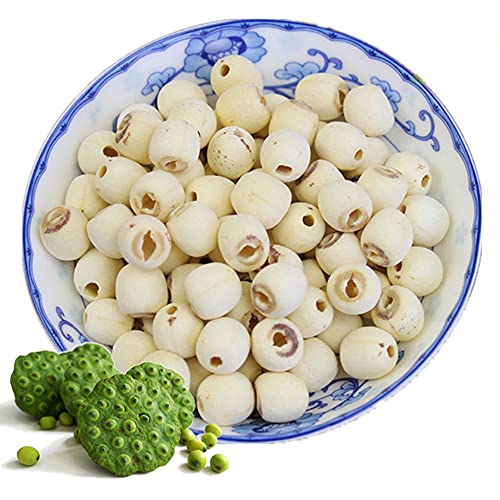 JINQI 芽取り済 蓮の実 ハスの実 薬膳料理 薬膳食材 5kg 大容量 業務用