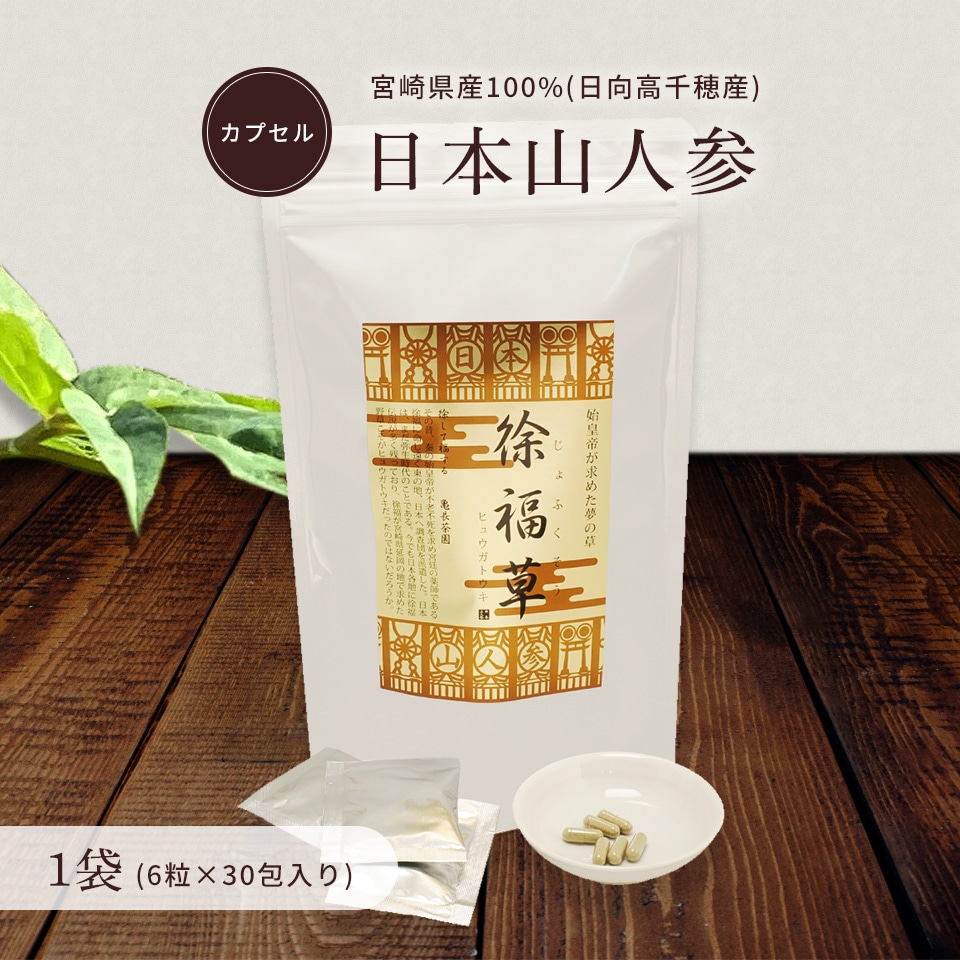 日本山人参【カプセル(6粒×30包)】1袋 ハードカプセル タブレット 1か月分 ヒュウガトウキ 自社農園 無添加 無農薬 温活 冷房対策 冷え性 血圧 血糖値 健康茶 YN-1