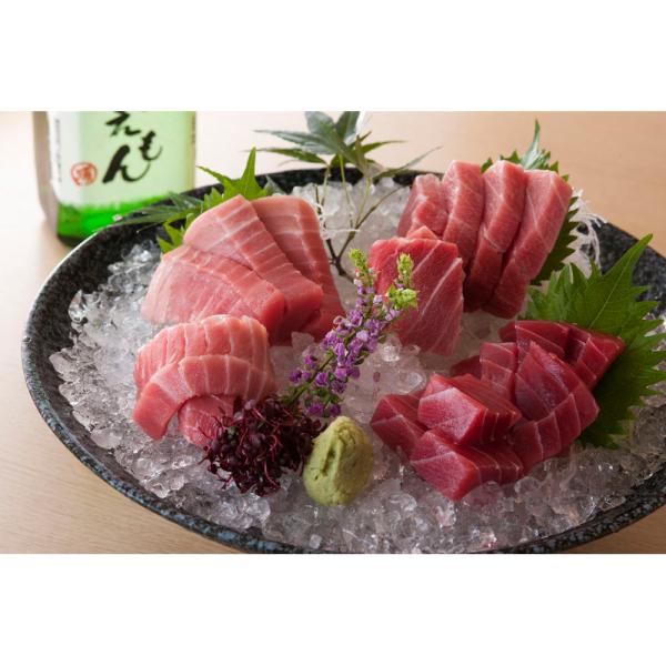 神奈川 三浦三崎 まぐろの詰合せ B SISK