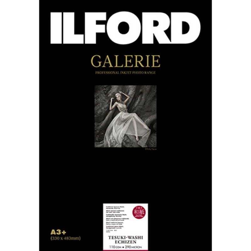 イルフォード　ギャラリー 手漉き和紙 越前 DeckleEdge A3＋D 10枚 110gsm GALERIE　433304