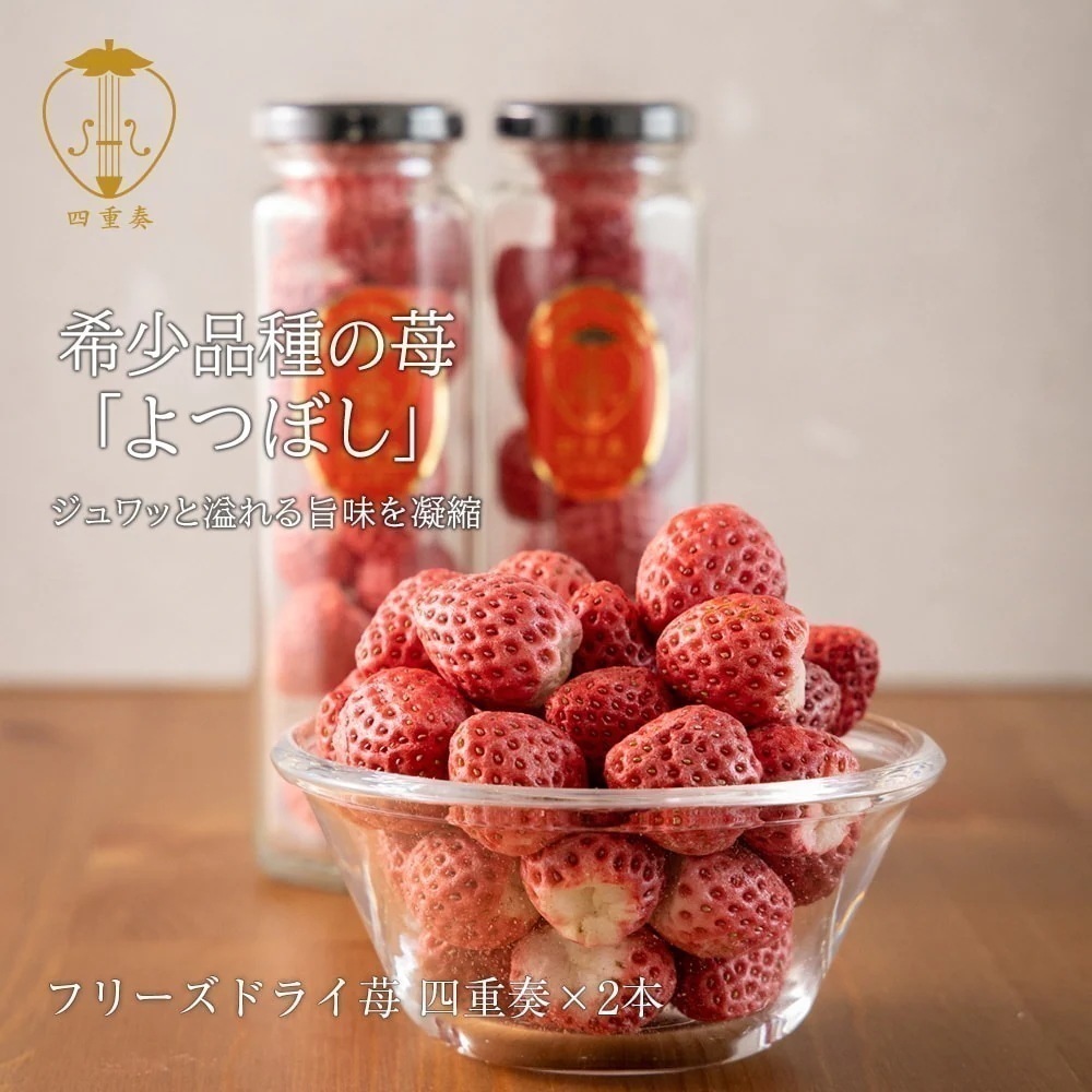 よつぼしいちご100％ フリーズドライ苺 四重奏 2本セット 丸進ファーム いちご 敬老の日 母の日