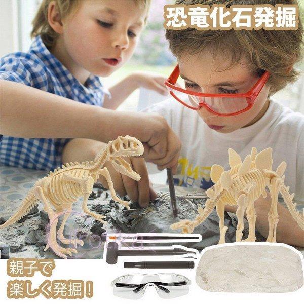化石 発掘 工作 知育 プレゼント 誕生日 クリスマス お祝い 男の子 女の子 サプライズ 子供 おもちゃ 工作 知育