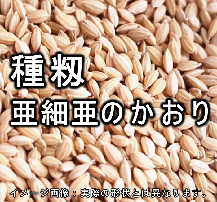 種籾 「亜細亜のかおり」 4kg 4年産