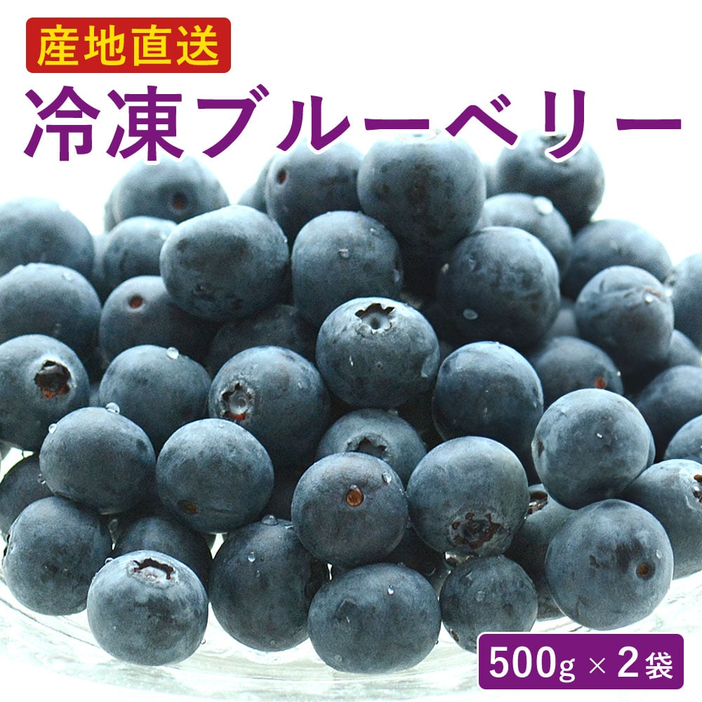 冷凍ブルーベリー 500g×2袋 国産 鹿児島県産 薩摩川内市 ブルーベリー 冷凍 産地直送 フルーツ お取り寄せ グルメ 果物 5,624円