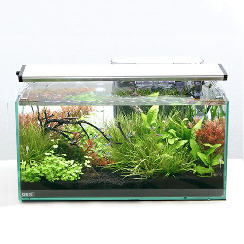 （熱帯魚）（水草）ＧＥＸ　グラステリア４５０スリム　レイアウトフルセットＡ（ネオンテトラ）水槽セット　本州四国限定　おまけ付き　ＣＲＣ10―11―03―10―99