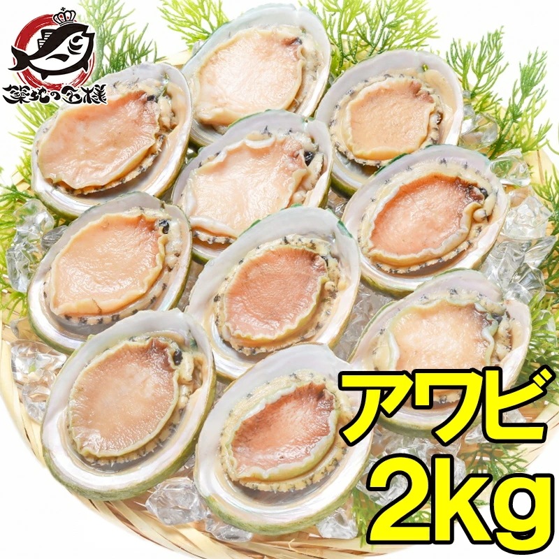 あわび Lサイズ 2kg 合計24個 1箱12個入り 殻つきお刺身用アワビ 高級料亭でも使用する新鮮な殻付きあわび あわび アワビ 鮑 お造り バター焼き ステーキ おせち 翡翠の瞳 貝柱 築地市場