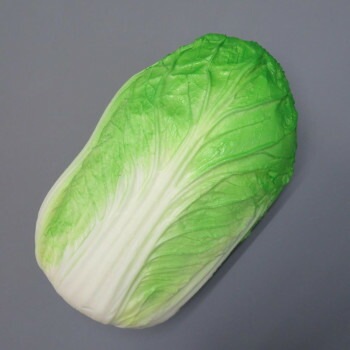 日本職人が作る 食品サンプル 新鮮/白菜 IP-246