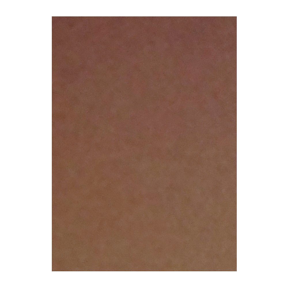 （まとめ買い）リンテック 色画用紙 ニューカラー 4切判 392x542mm 100枚 こげちゃ GO4NCR-215 [x3]