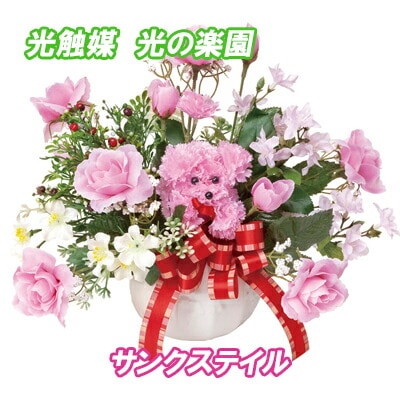 迅速な対応で商品をお届け致します 光触媒 光の楽園 サンクステイル 造花 フラワーアレンジメント 日本最大の 人工植物 母の日 犬