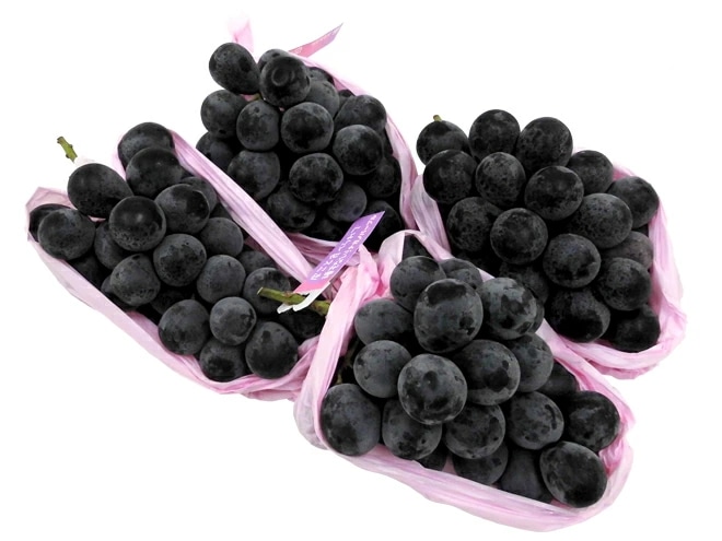 長野産=ナガノパープル= 秀品 大房限定 2-4房 約2kg ぶどう 予約 9月以降 [B2]
