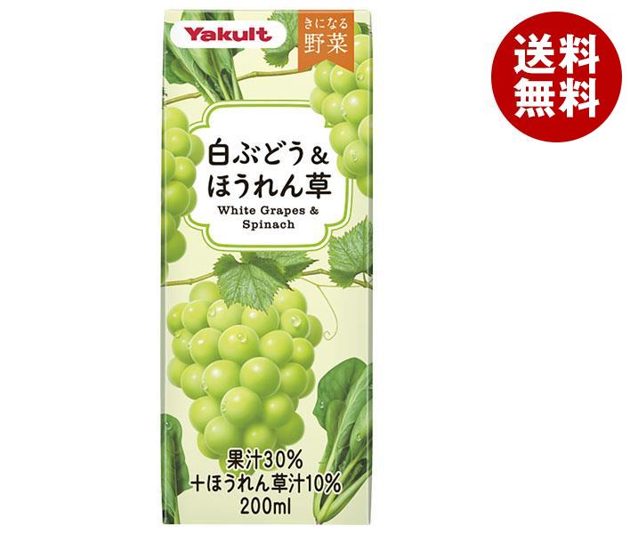 ヤクルト きになる野菜 白ぶどう＆ほうれん草 200ml紙パック×24本入×(2ケース)