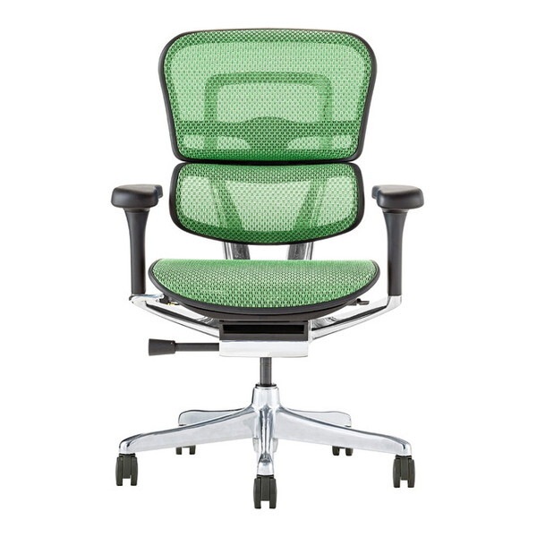 Ergohuman PRO2 EHP2-LAM-DR-BF-GN [�O���[��]