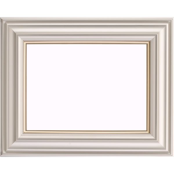 額縁 フレーム F4サイズ 333mm×242mm シャンペンゴールド 紐付き 樹脂製 3455N リビング 店舗 オフィス 学校 施設 7,807円