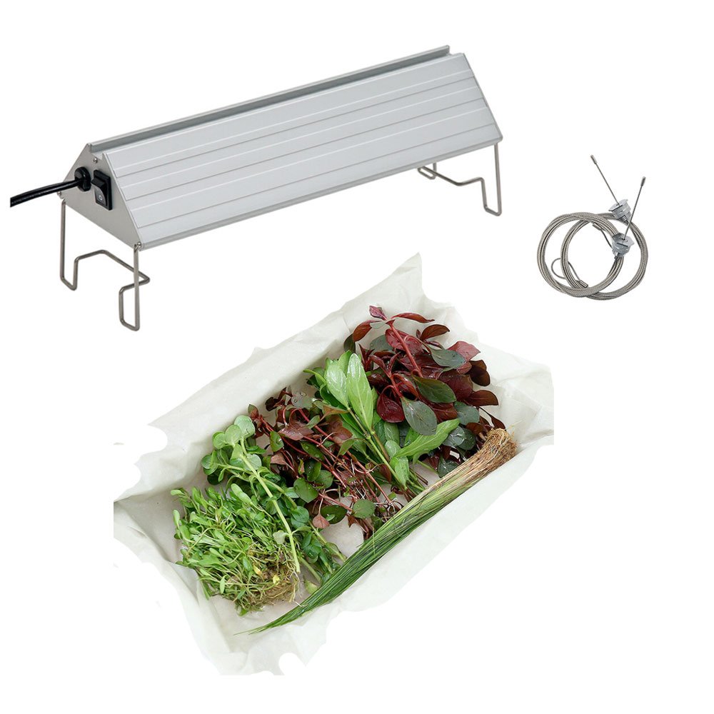 （水草）おまかせ水上葉レイアウトセット　６種（無農薬）＋アクロＬＥＤ　ＶＩＶＩＤ３００　３０ｃｍ水槽用　本州四国限定　ＣＲＣ10―15―60―10―50