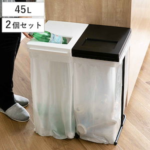 ゴミ箱 おしゃれ 分別ごみ箱 分別2段 画す 省スペース 45