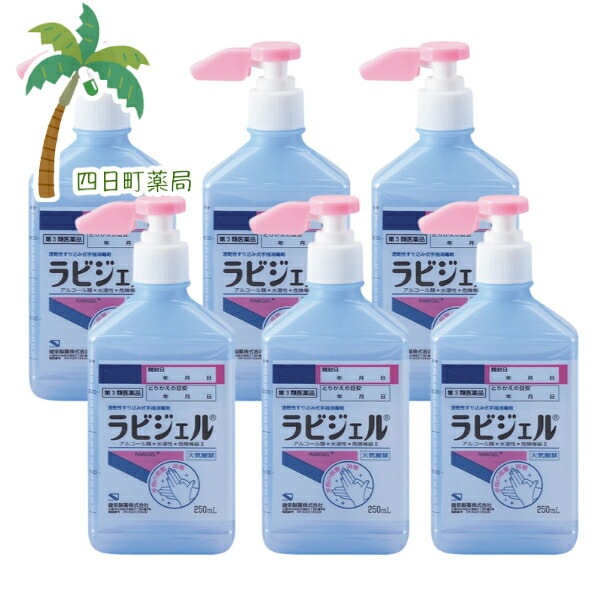 【第3類医薬品】ラビジェル 250ml [6個セット]