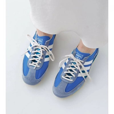 多肉植物 ❤️エボニー ジゼル ❤️吉赛尔❤️ 1大頭12cm!拔き苗