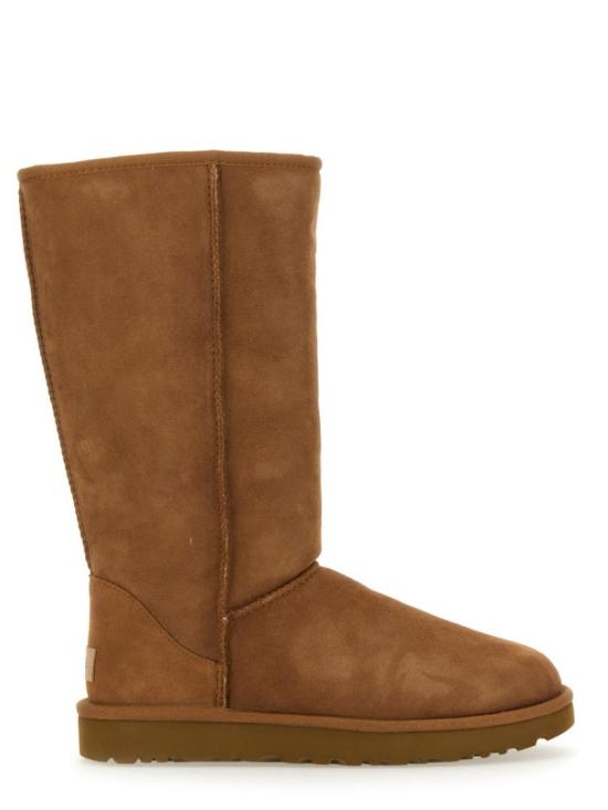 UGG Women Boots 1016224 CHE Brown