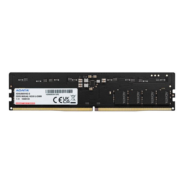 Premier DDR5-5600MHz U-DIMM 16GB SINGLE TRAY