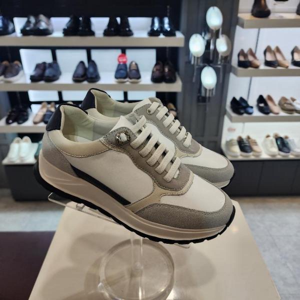 HC10 女性デイリーコンボスニーカー3cm LCWS17U52759 (41586757)