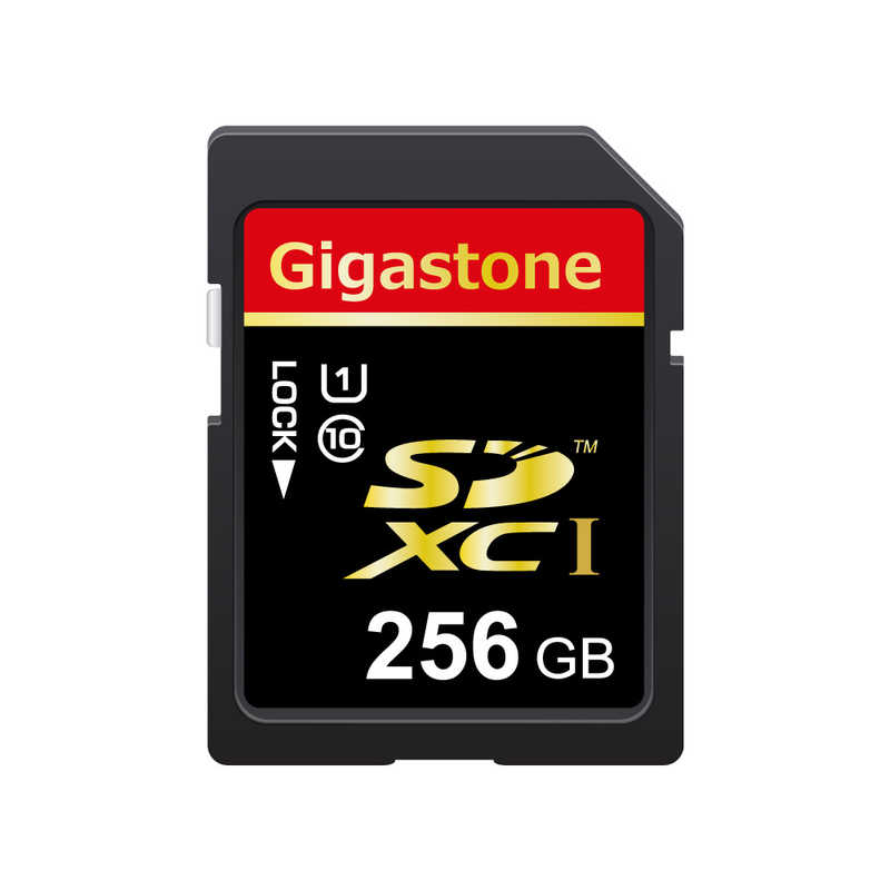 GIGASTONE　SDカード (Class10/256GB)　GJSX/256U 6,577円