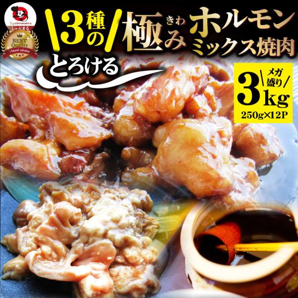 三種 ホルモン ミックス 焼肉 3kg（250ｇ×12パック）秘伝 タレ漬け バーベキュー BBQ 肉 焼くだけ 冷凍キャンプ