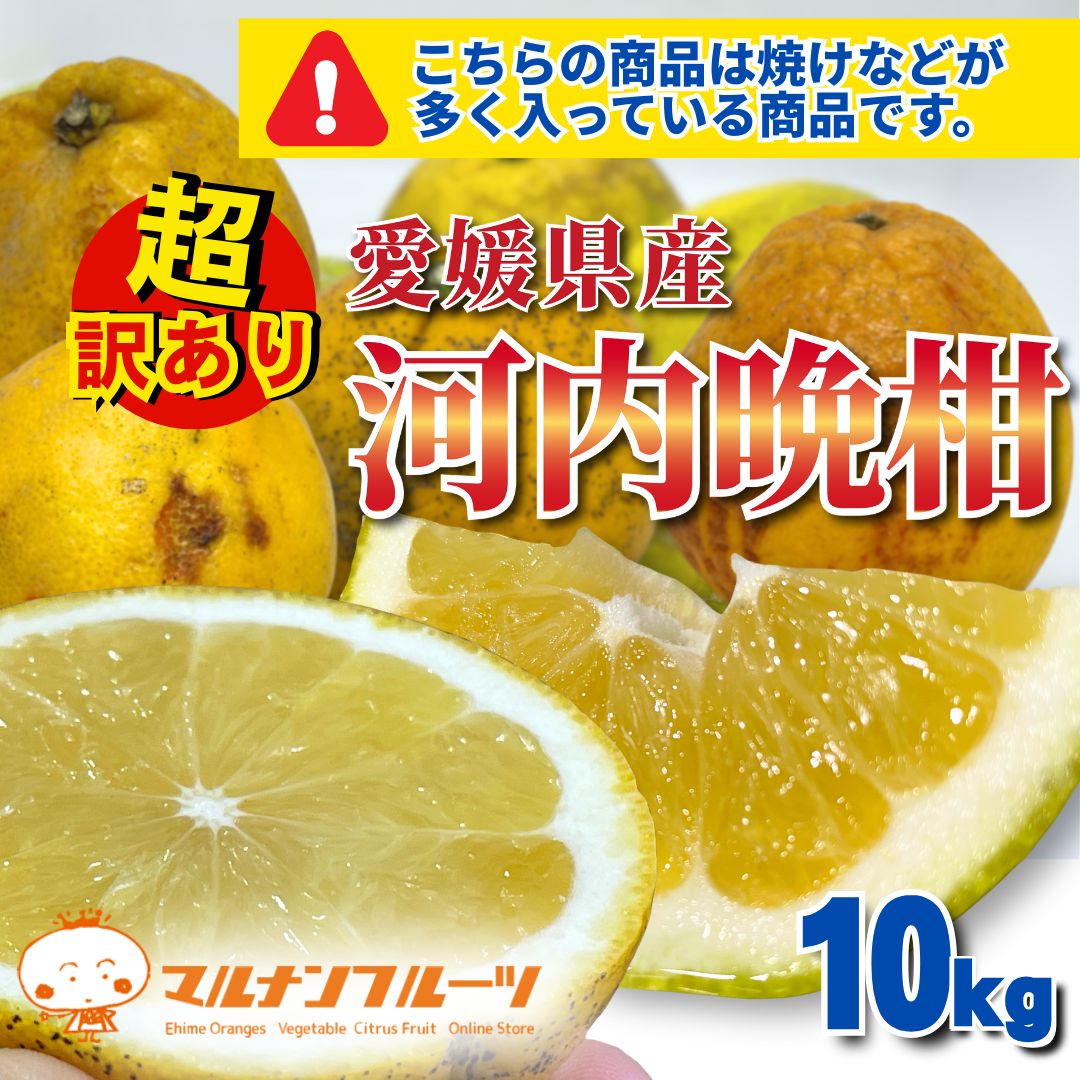 Qoo10] 【超訳あり品】愛媛県産 河内晩柑 10k : 食品