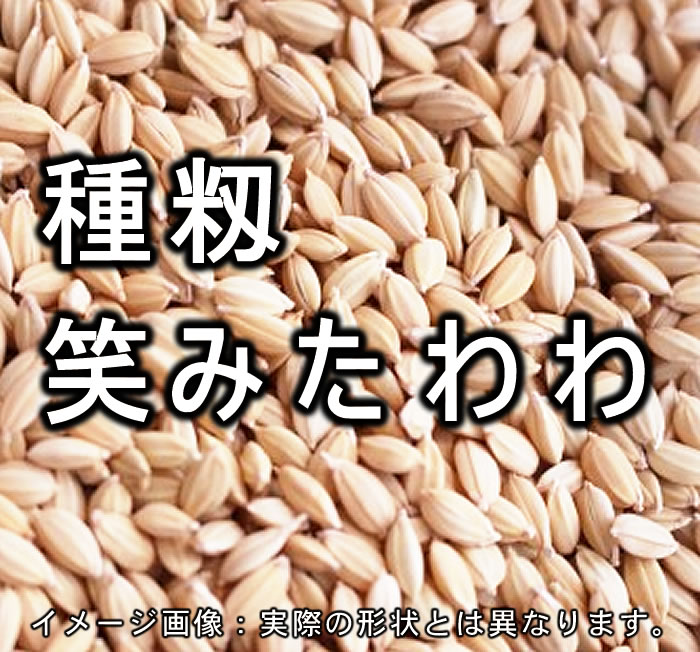 種籾 「笑みたわわ」 20kg 5年産