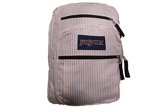 ジャンスポーツJanSport Big Student Backpack - VENDOR PINK, 34L (T15X-39W) 並行輸入品
