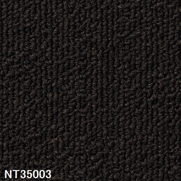耐候性/耐薬品性/静電性に優れたカーペットタイルNT-35003 12枚セット