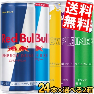 Red Bull 24×250ML 3セット 合計72本 公式 レッドブル エナジー