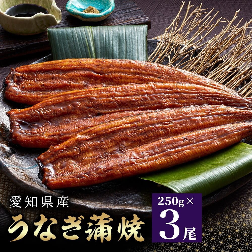 愛知県産 うなぎ蒲焼 3尾入鰻 うなぎ 魚 蒲焼き