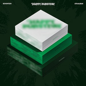 seventeen happy burstday